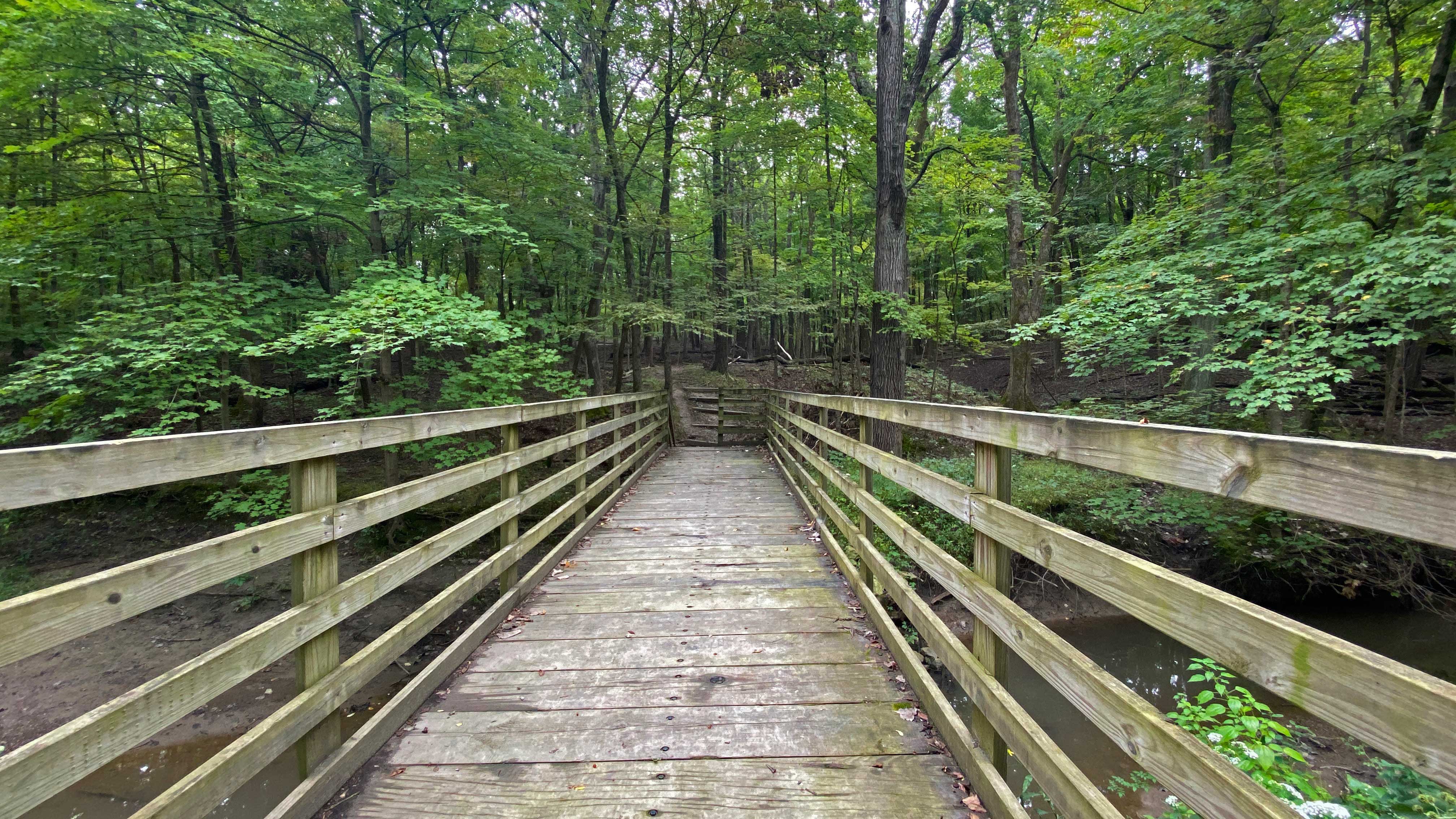 The bridge at Thorn Creek Woods Nature Preserve.