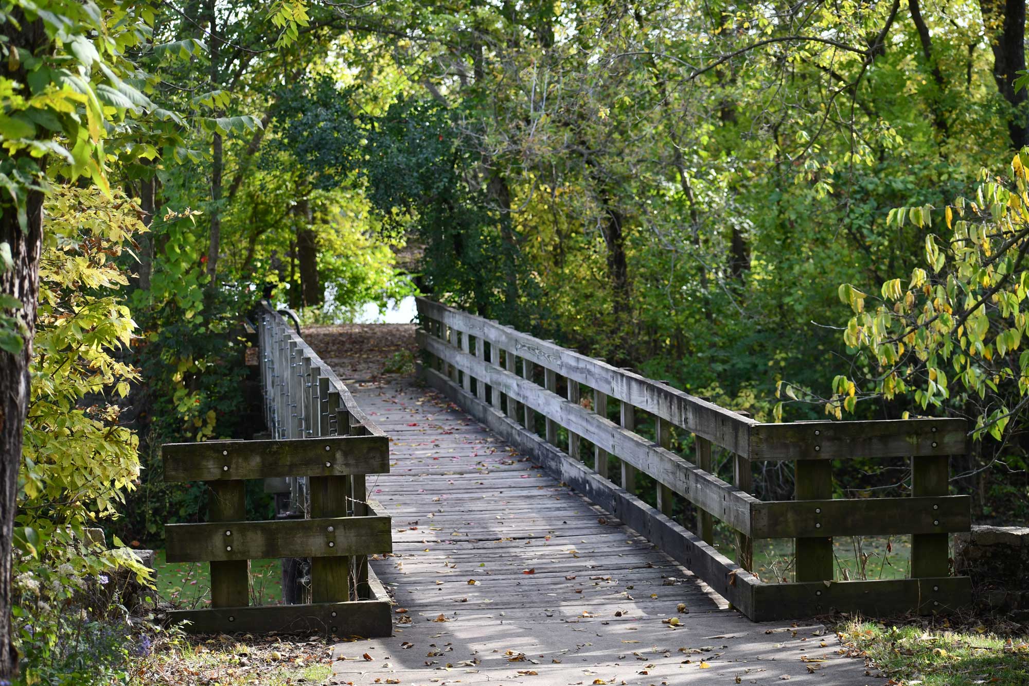 A wooden bridge surrounded by trees.