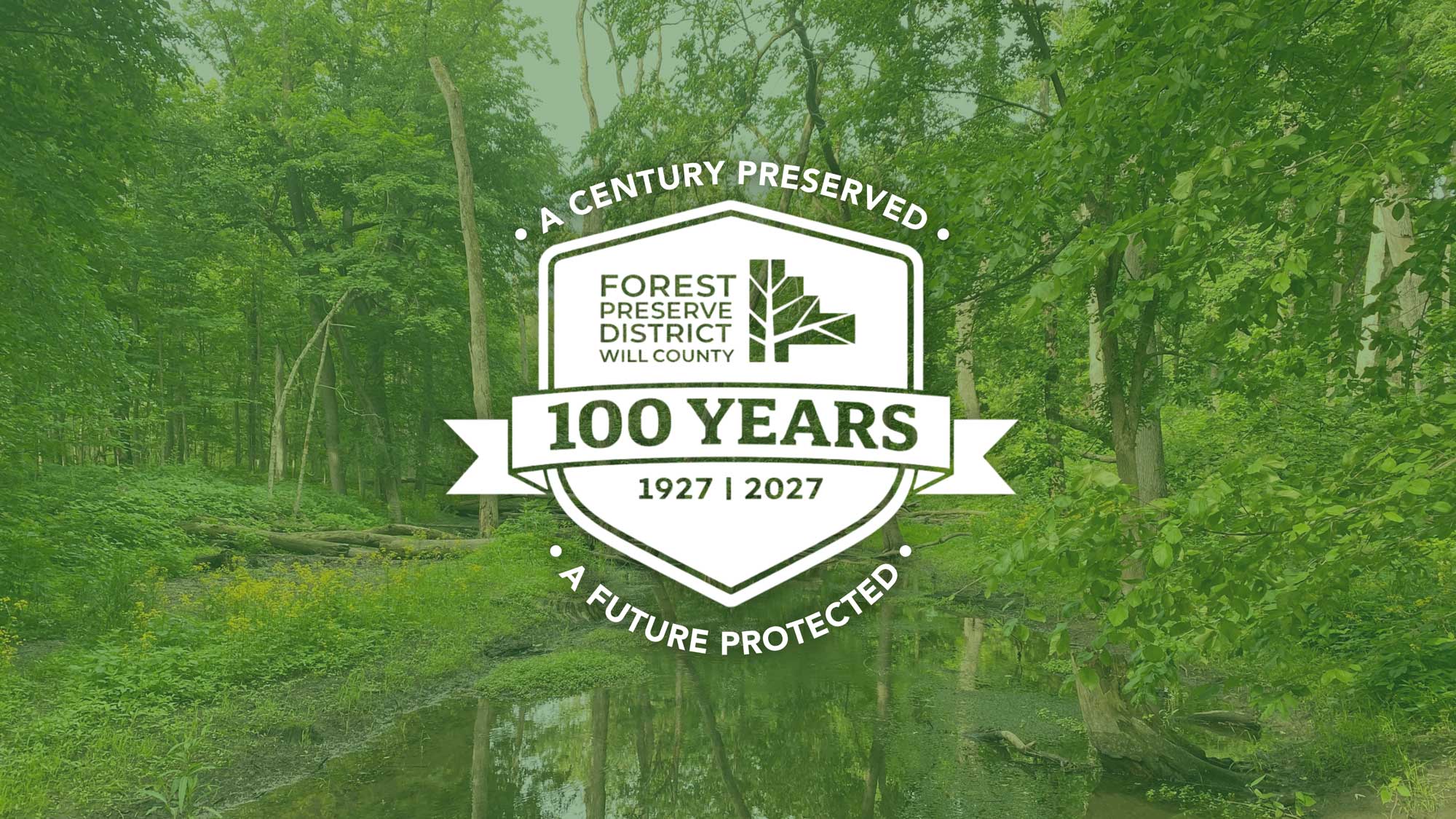 Forest image with a white 100 years logo. 