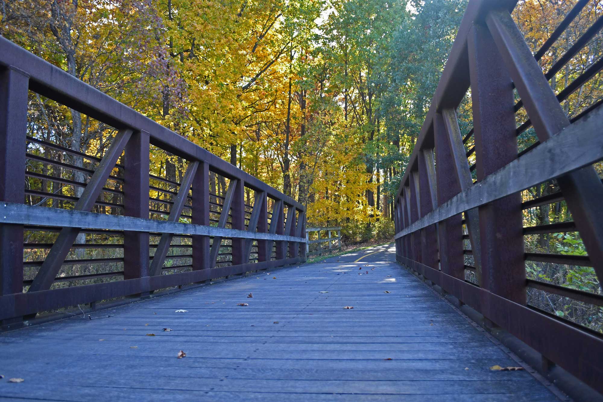 Bridge with fall colored trees in the background.