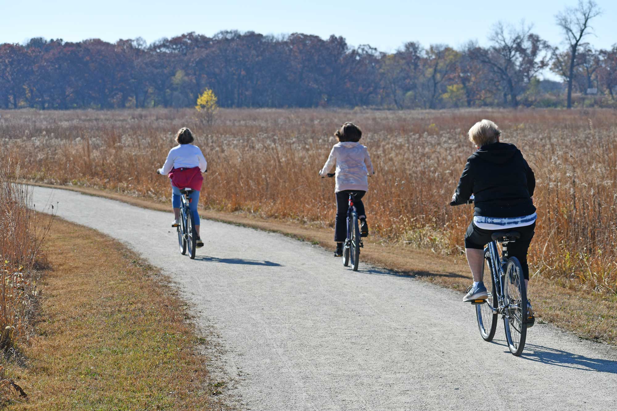 People riding bikes along a limestone trail with vegetation and trees in the background.