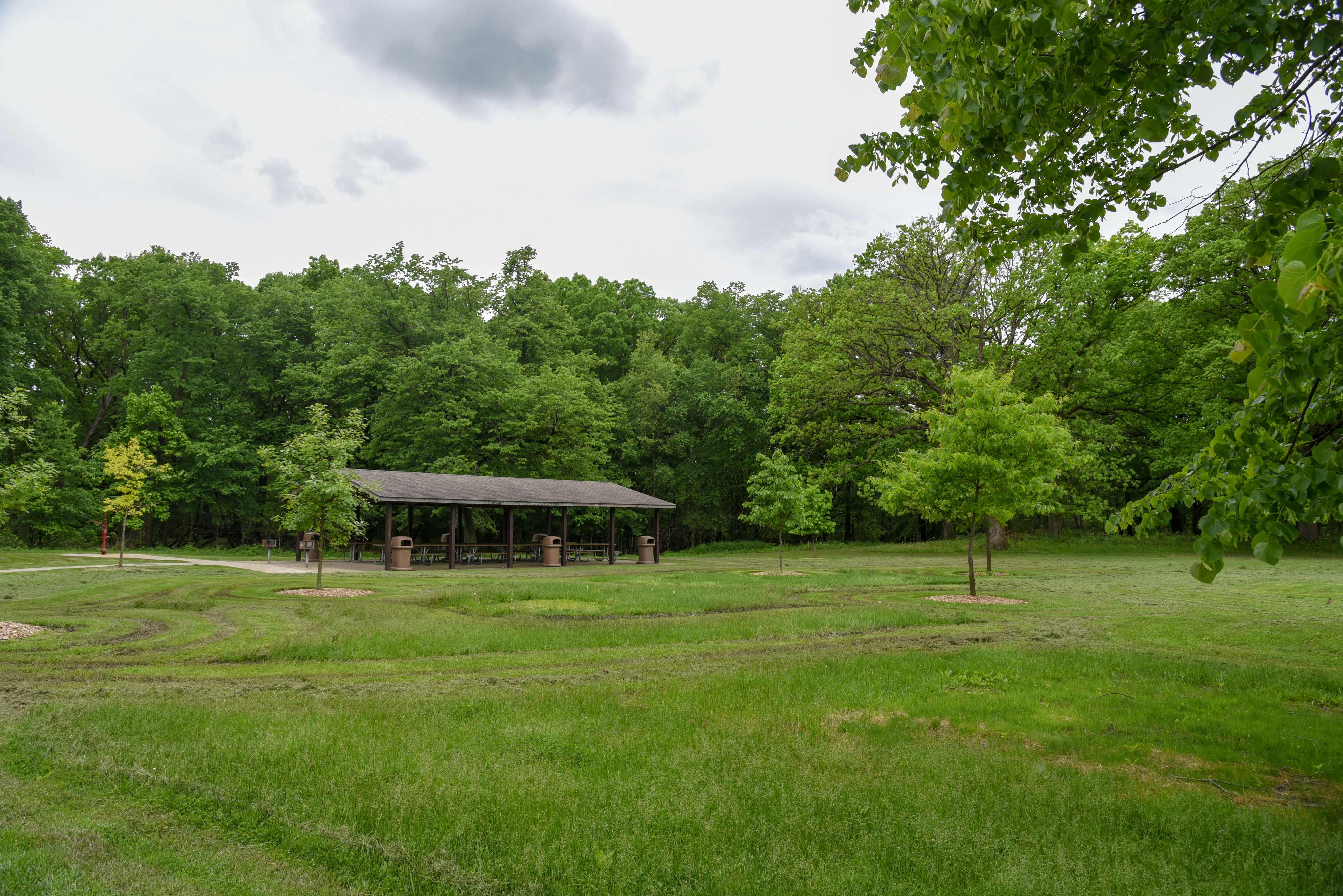 Scenery-Messenger-Woods-Chris-Cheng-May-2019.jpg