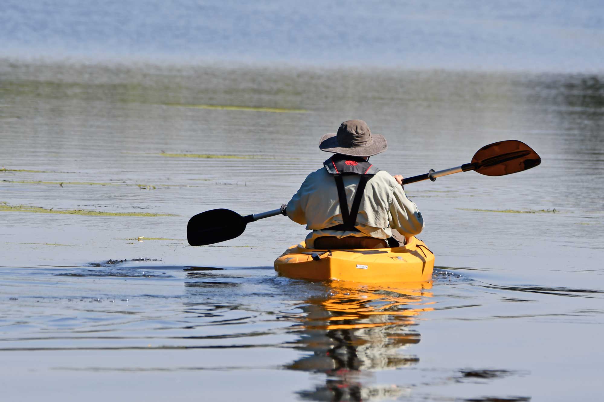 Person in a kayak with water in the background.