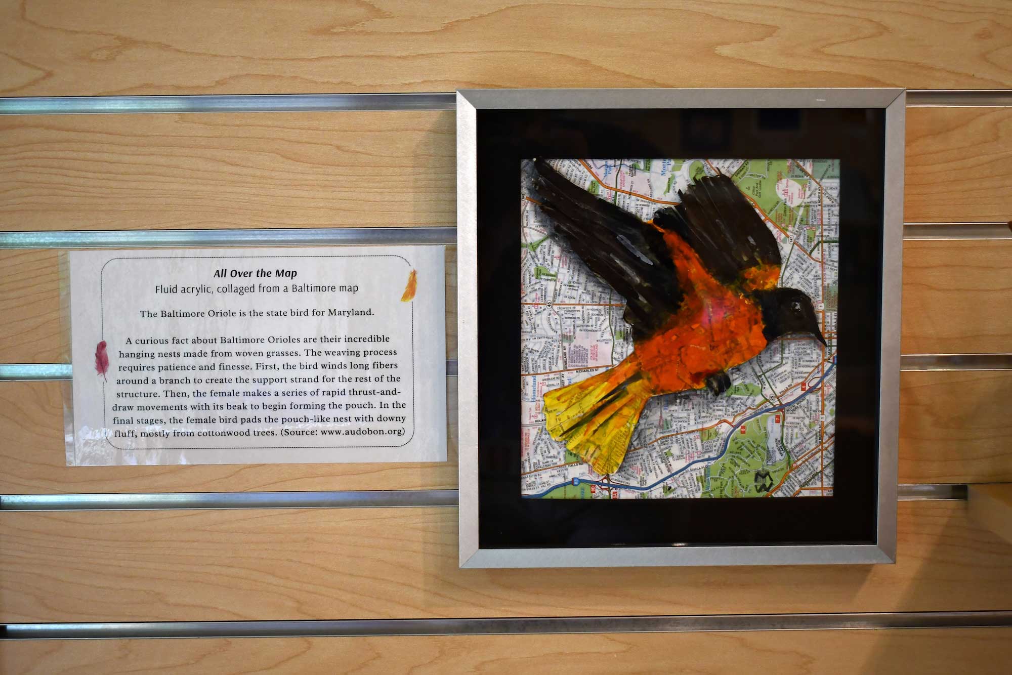 Plum Creek art exhibit offers colorful, whimsical look at America’s state birds