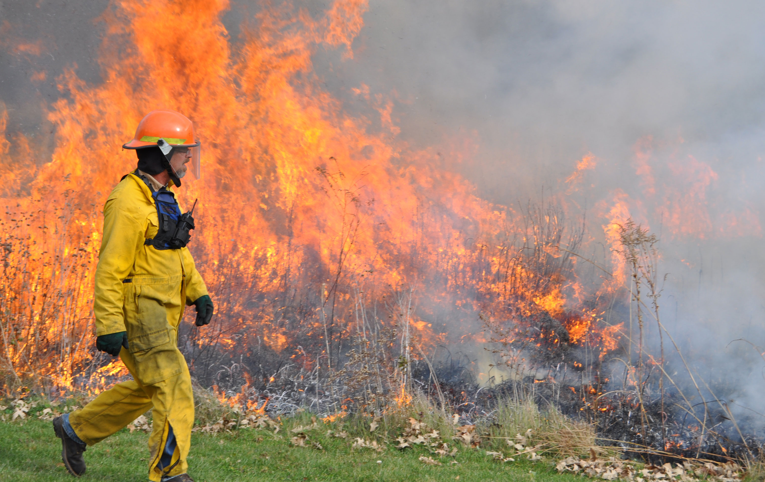 Forest Preserve staff participating in a controlled burn.