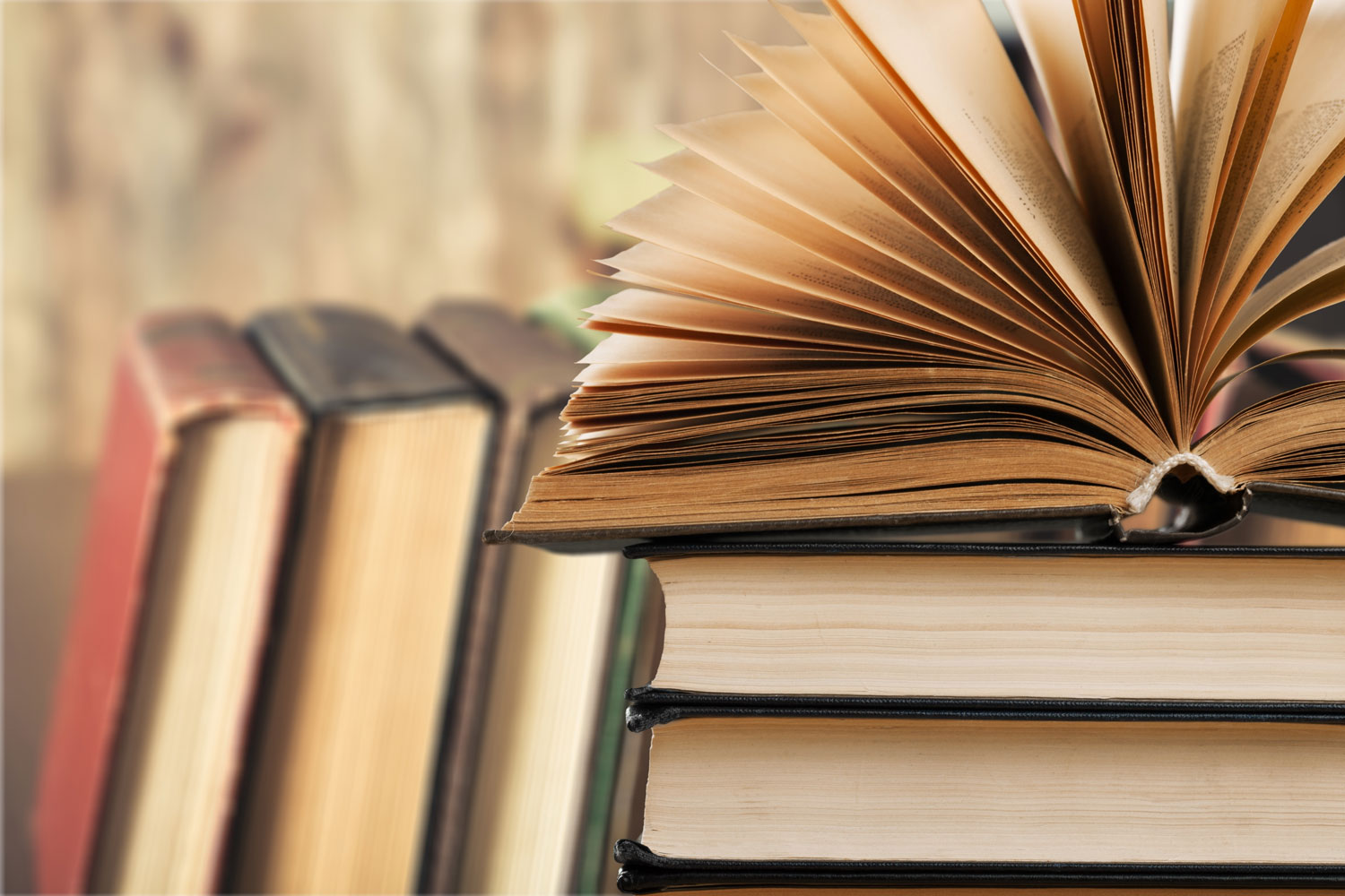 Books stacked up and lined up side by side, with one book open with the pages fanned.
