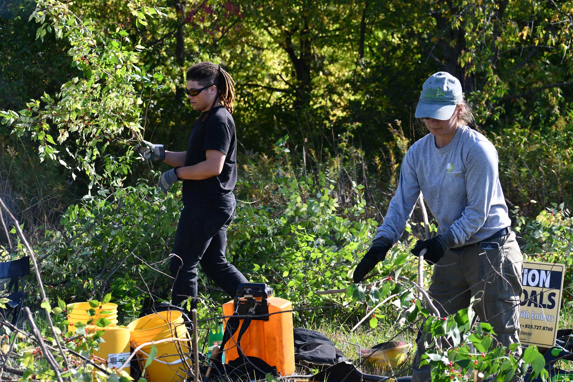 A person carrying a large branch while another holds a branch in a field of vegetation. Buckets and work supplies are visible in the foreground.