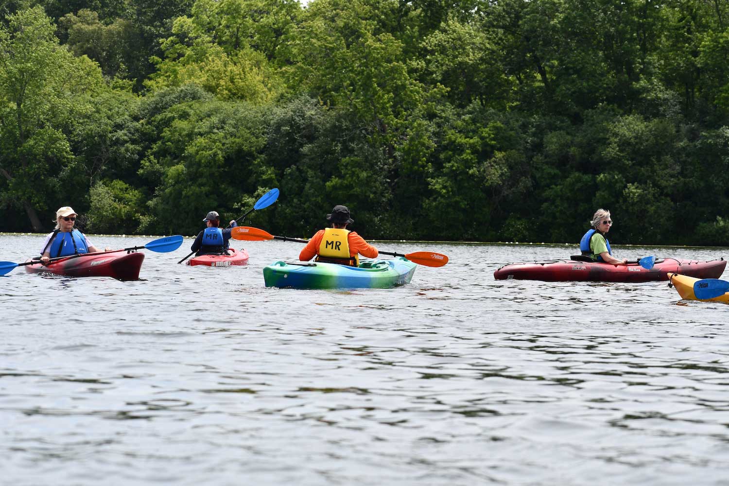 Five people sitting in kayaks of various colors. The people are holding their paddles out of the water.