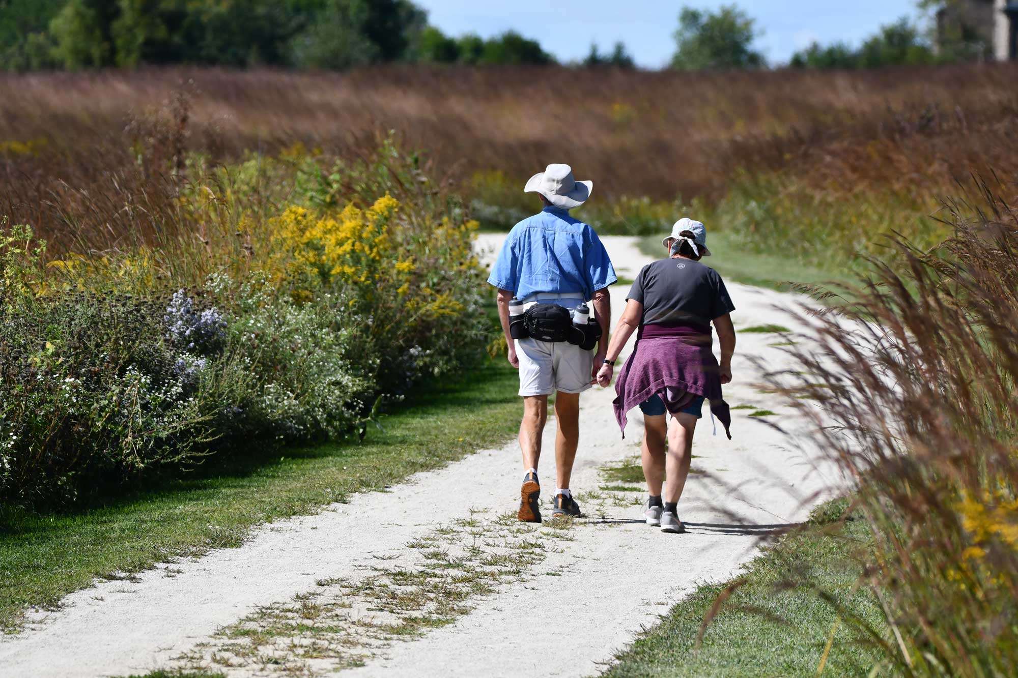 People walking on a limestone trail with vegetation in the background.