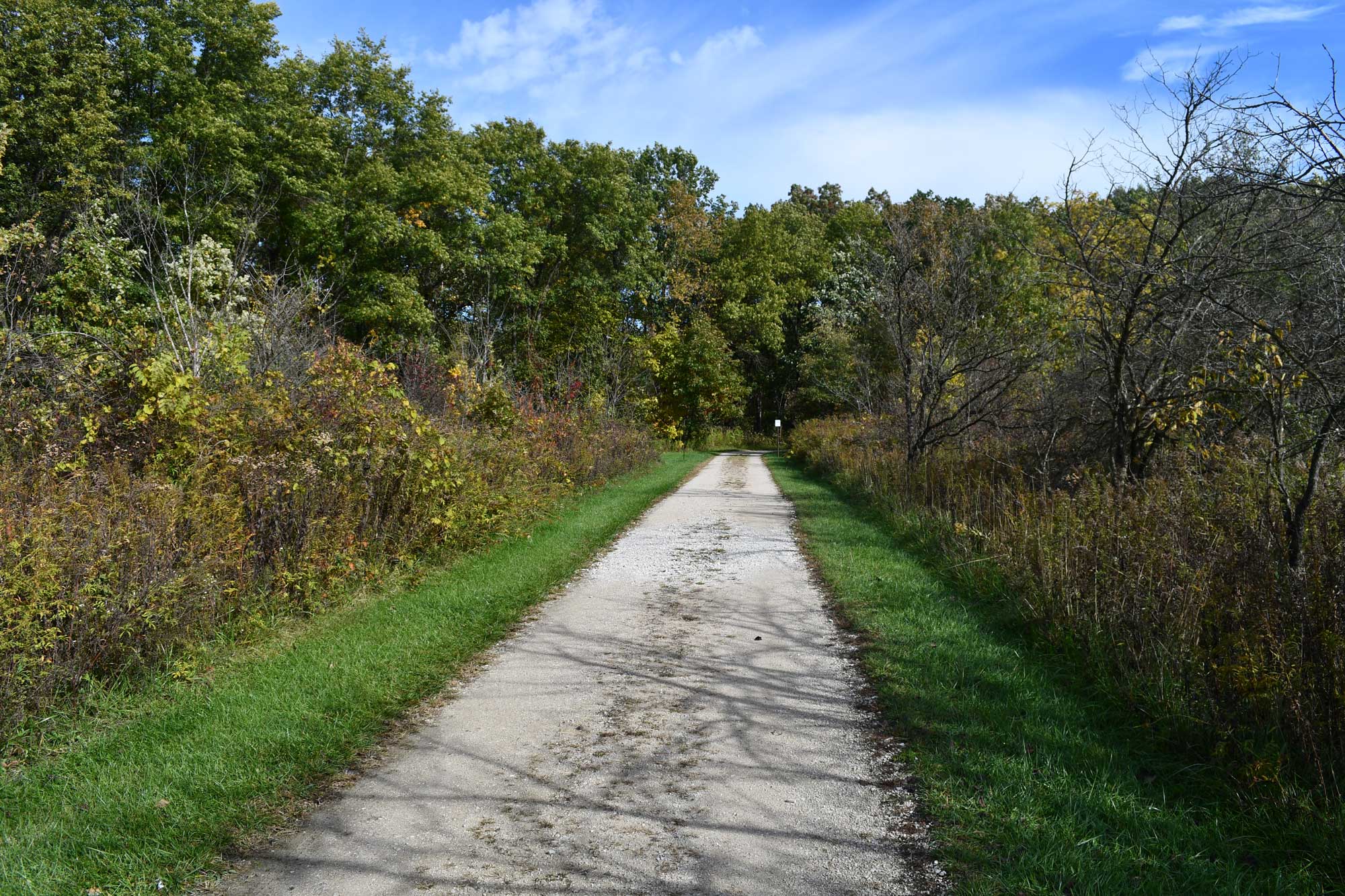 Limestone trail lined with grasses, vegetation, and trees.
