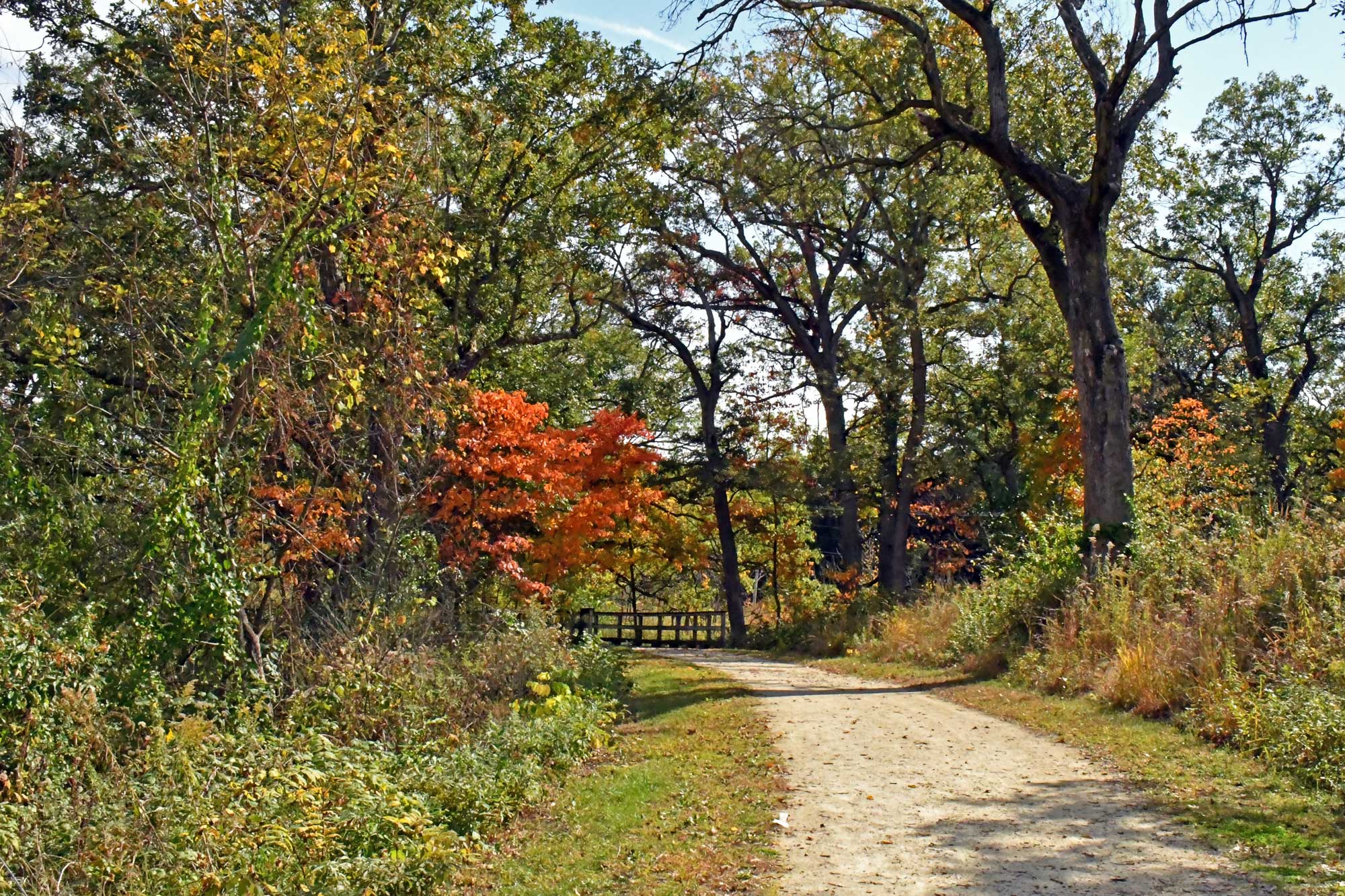 Limestone trail lines with grass and vegetation with trees and a bridge in the background.