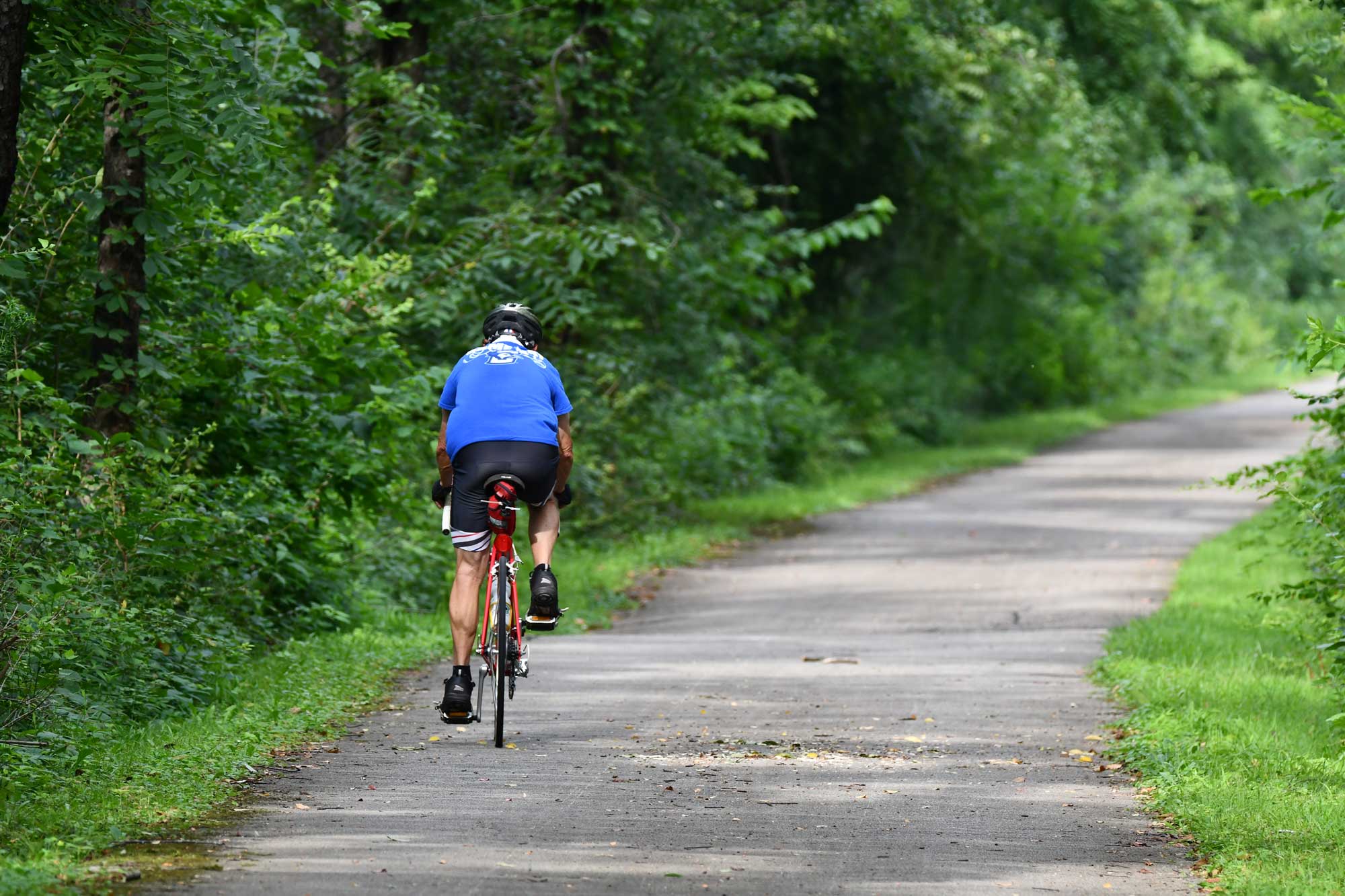 Person riding a bike on a paved trail lined by trees.