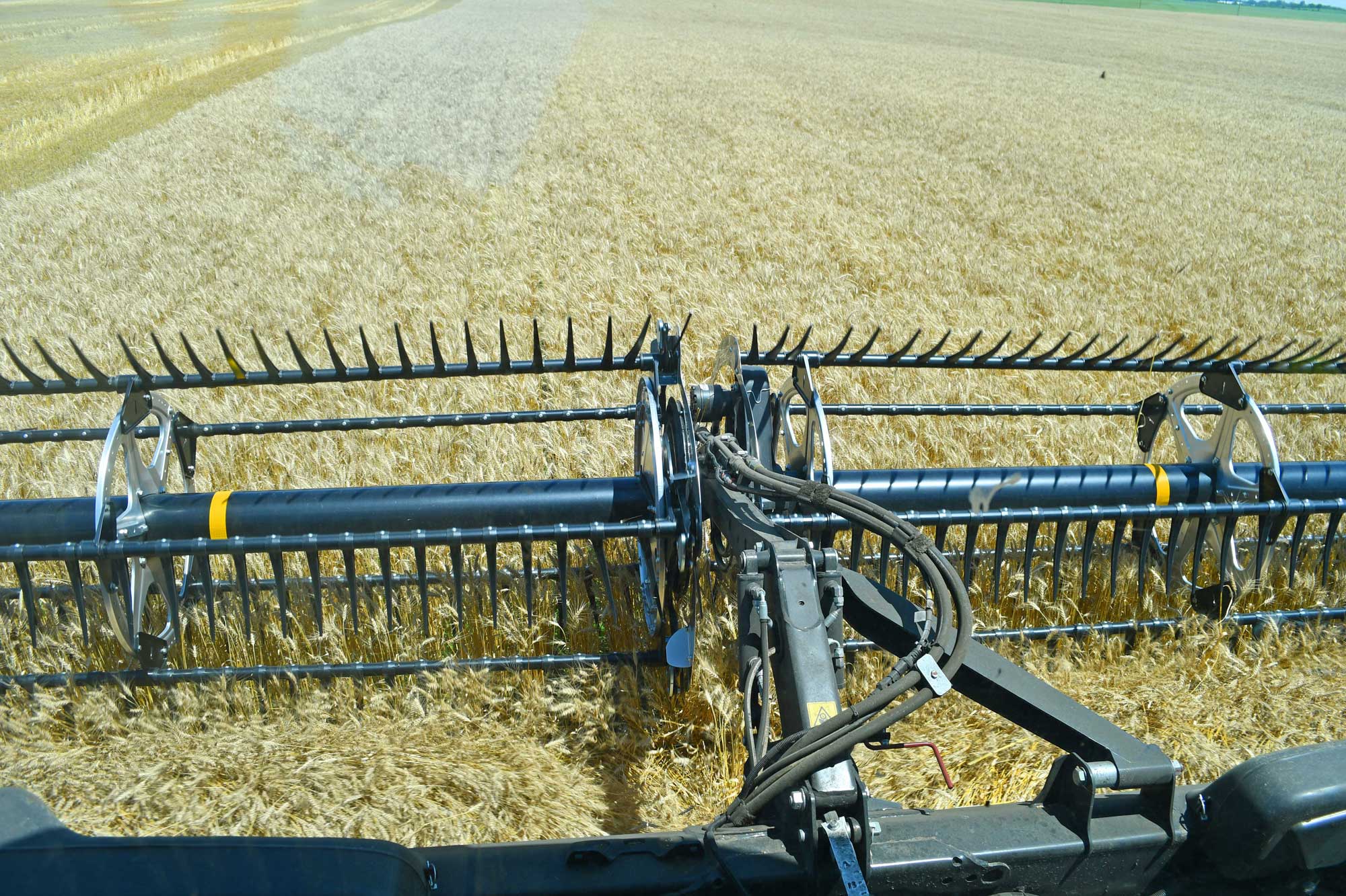 Combine harvesting wheat in a farm field.