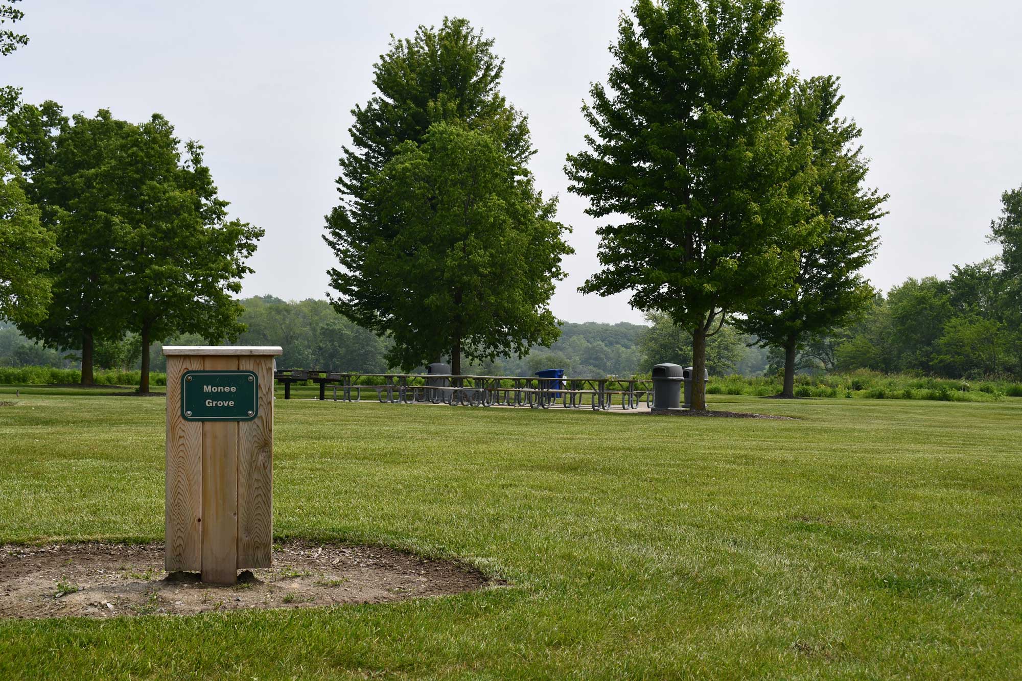 Monee-Grove-Monee-Reservoir-Glenn_P_Knoblock-June-2025 Monee-Grove-Monee-Reservoir-Glenn_P_Knoblock-June-2025