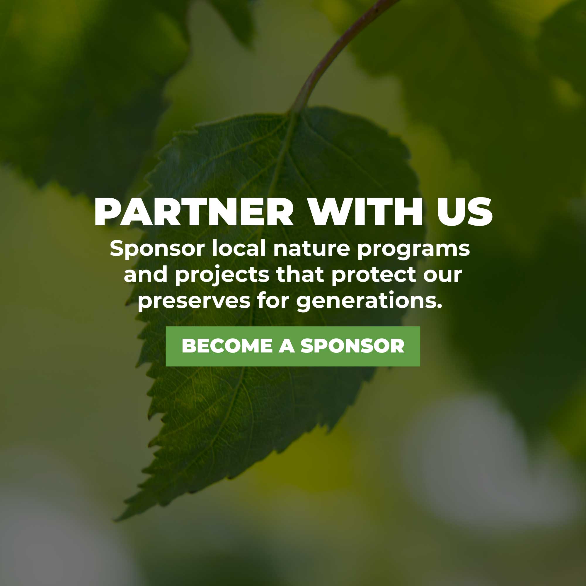 banner that says "sponsor with us" and includes a become a sponsor button