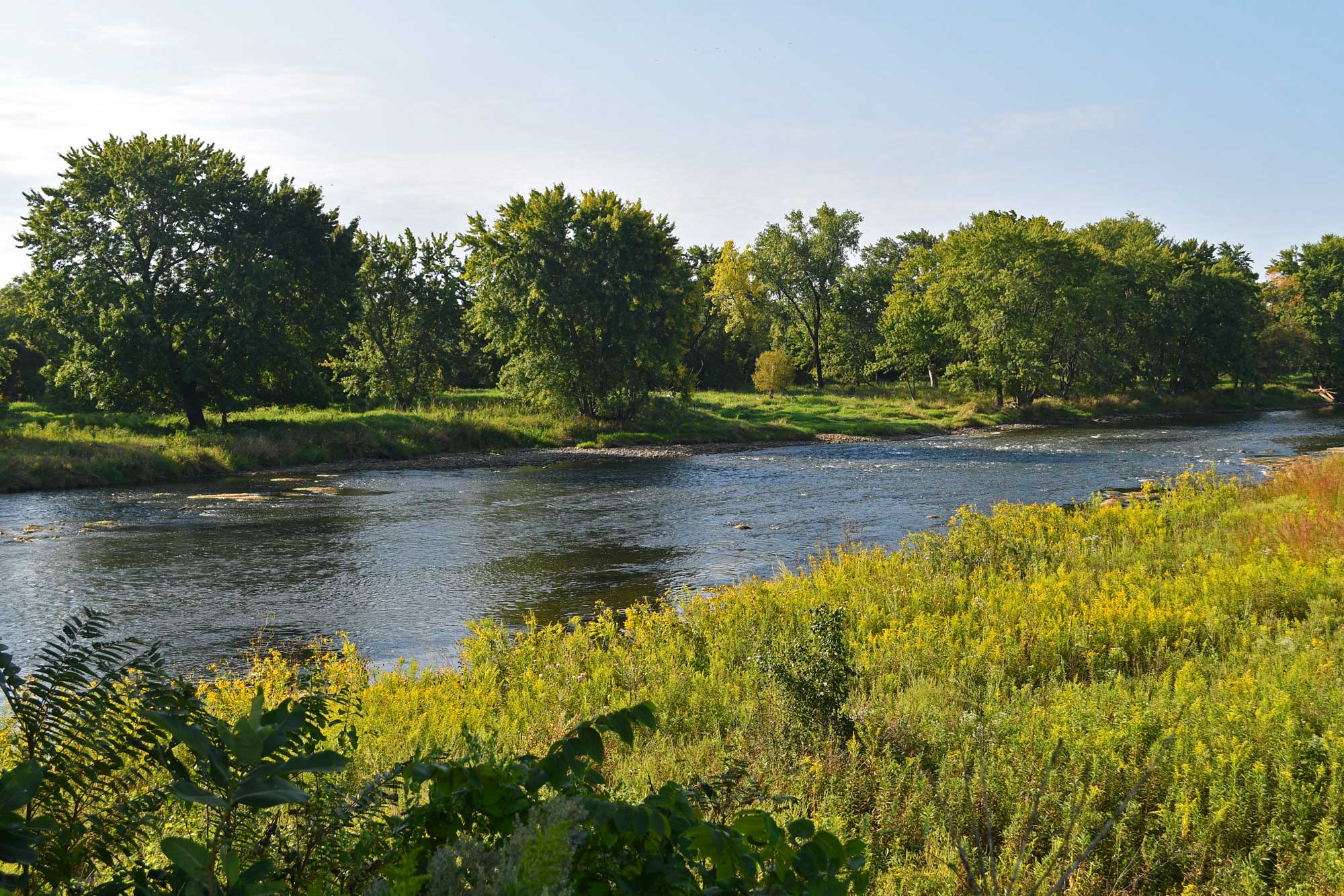 River with prairie in the foreground and trees in the background.
