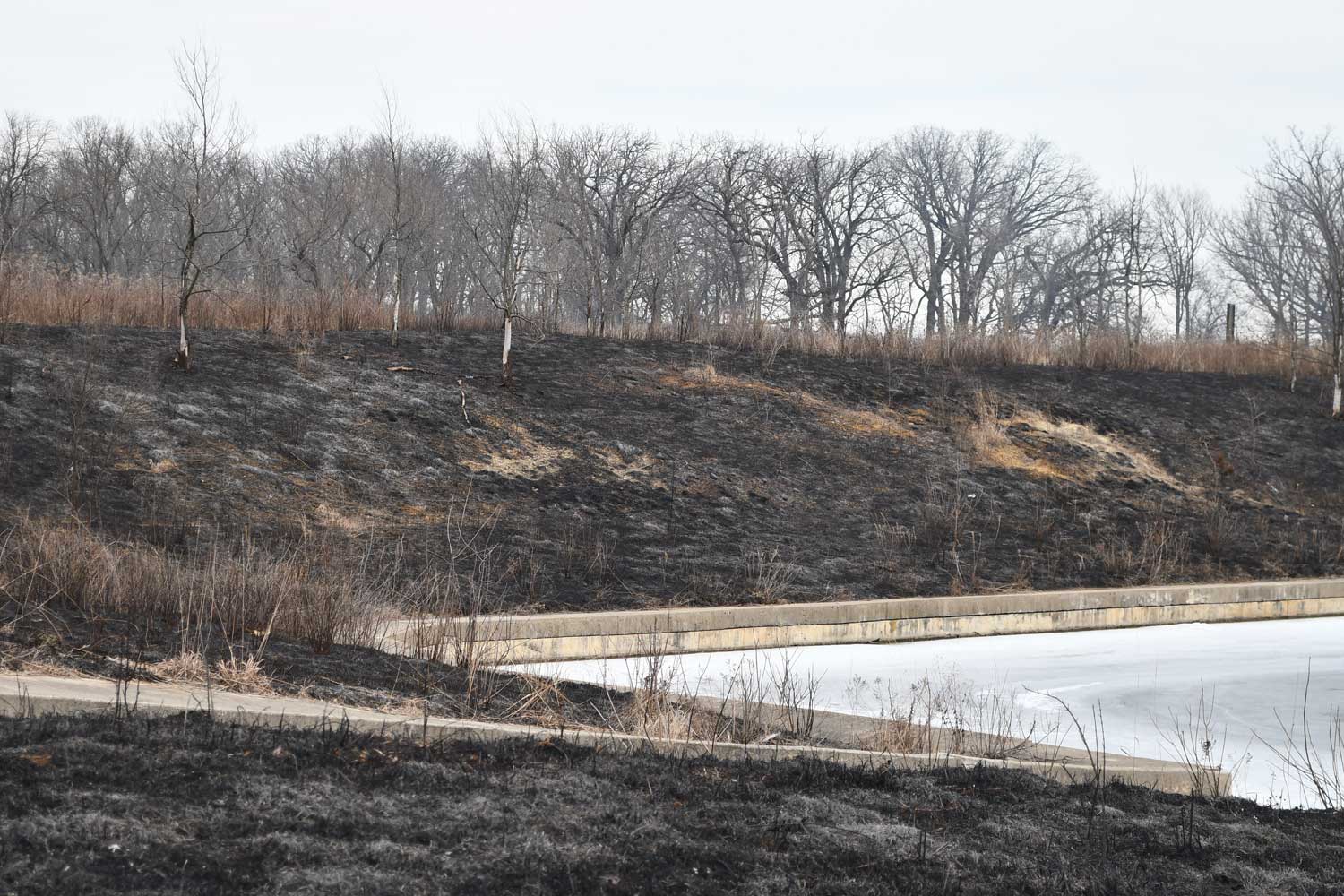 Land after a prescribed burn has been completed.
