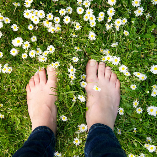 Life underground: What lives just underneath our feet
