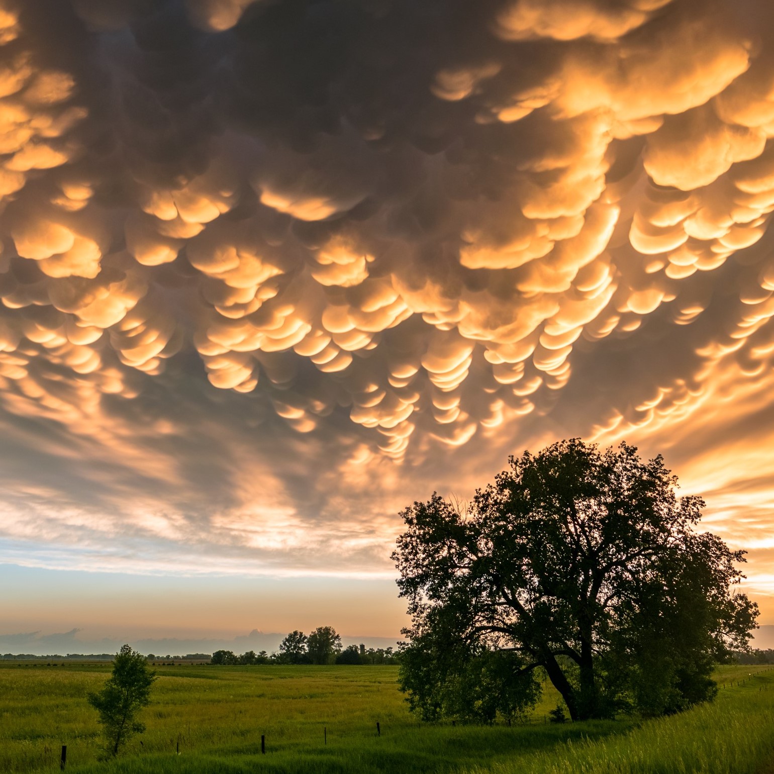Look up and enjoy the clouds