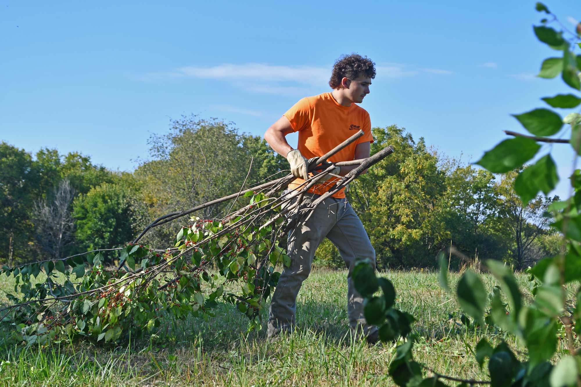 a man carrying a bunch of branches