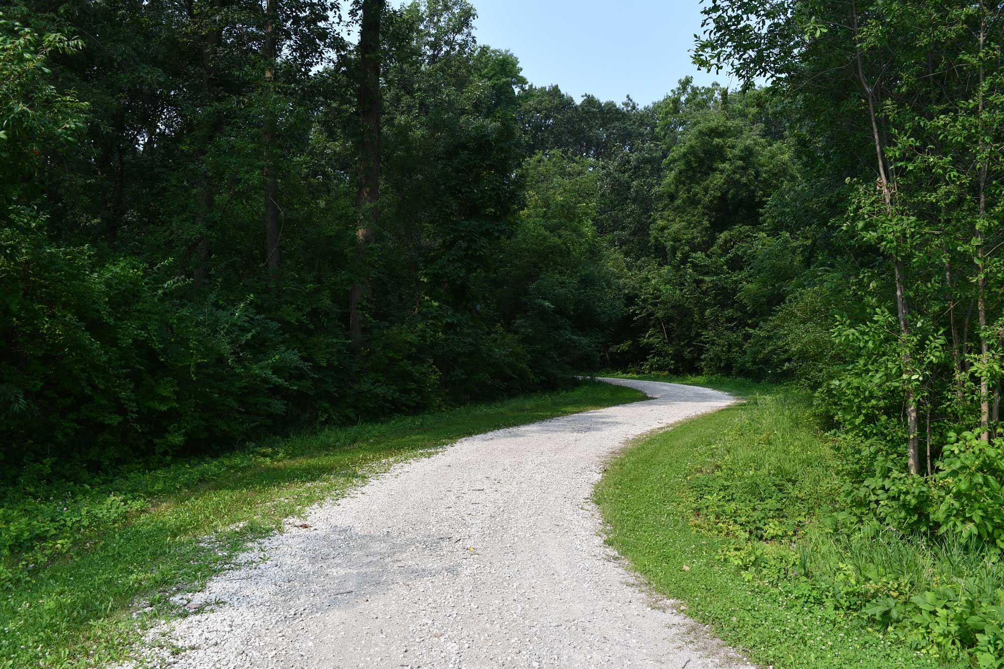 Limestone trail lined with grasses and trees.