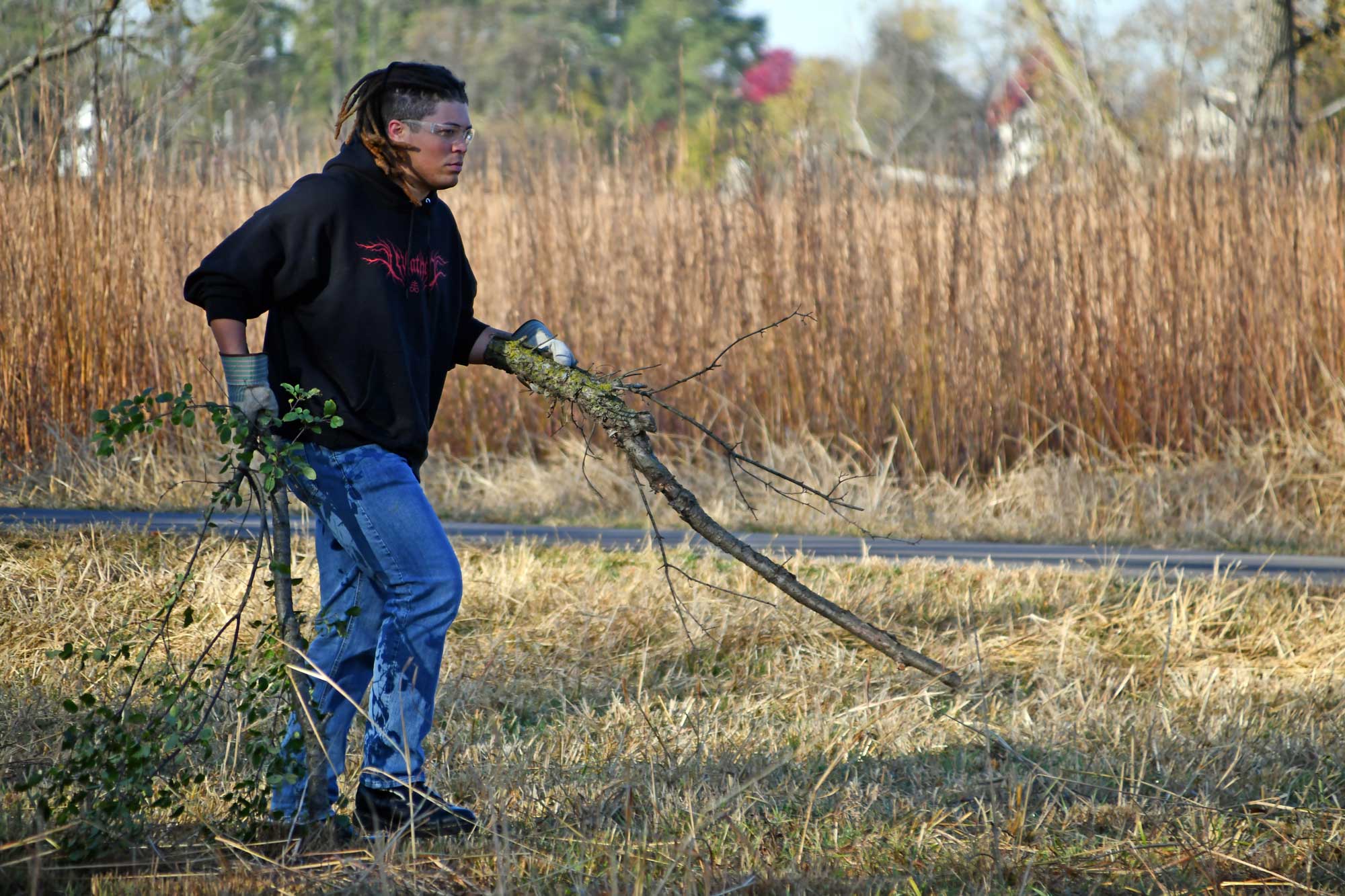 A person carrying branches across a grassy area. 