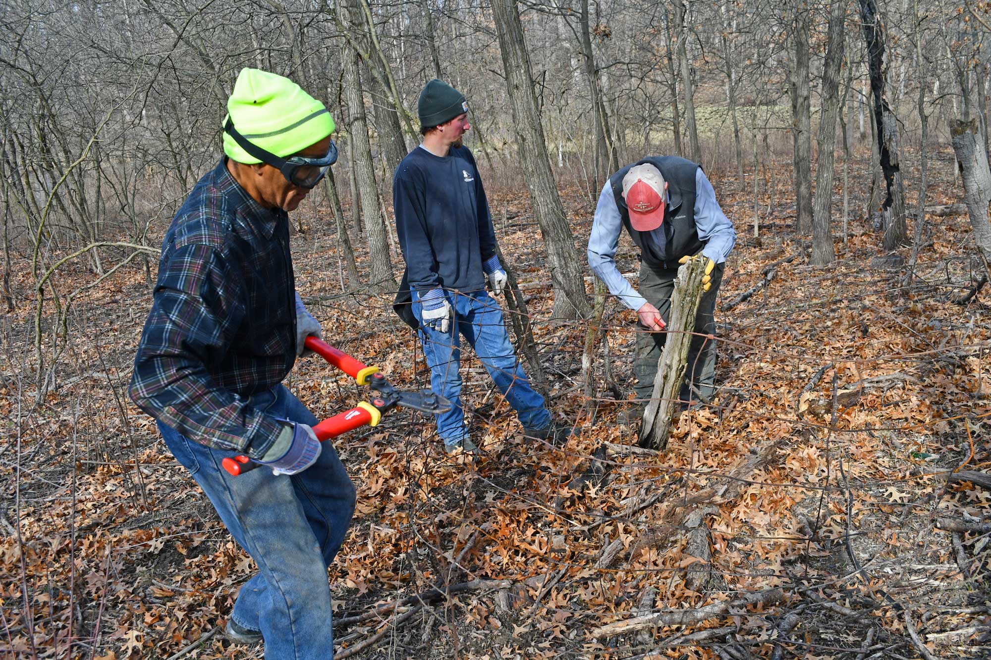 People working on fence removal in a preserve.