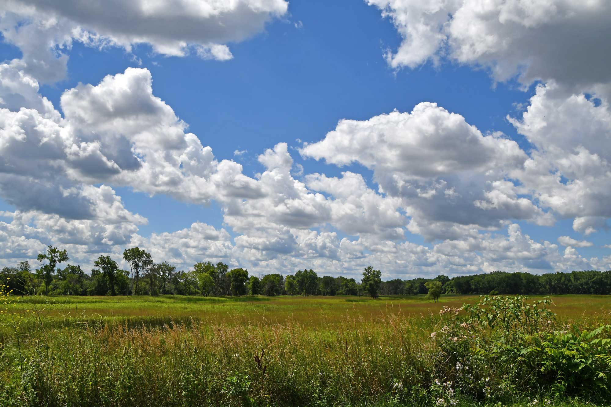 Prairie with trees in the background and a partly cloudy sky overhead.