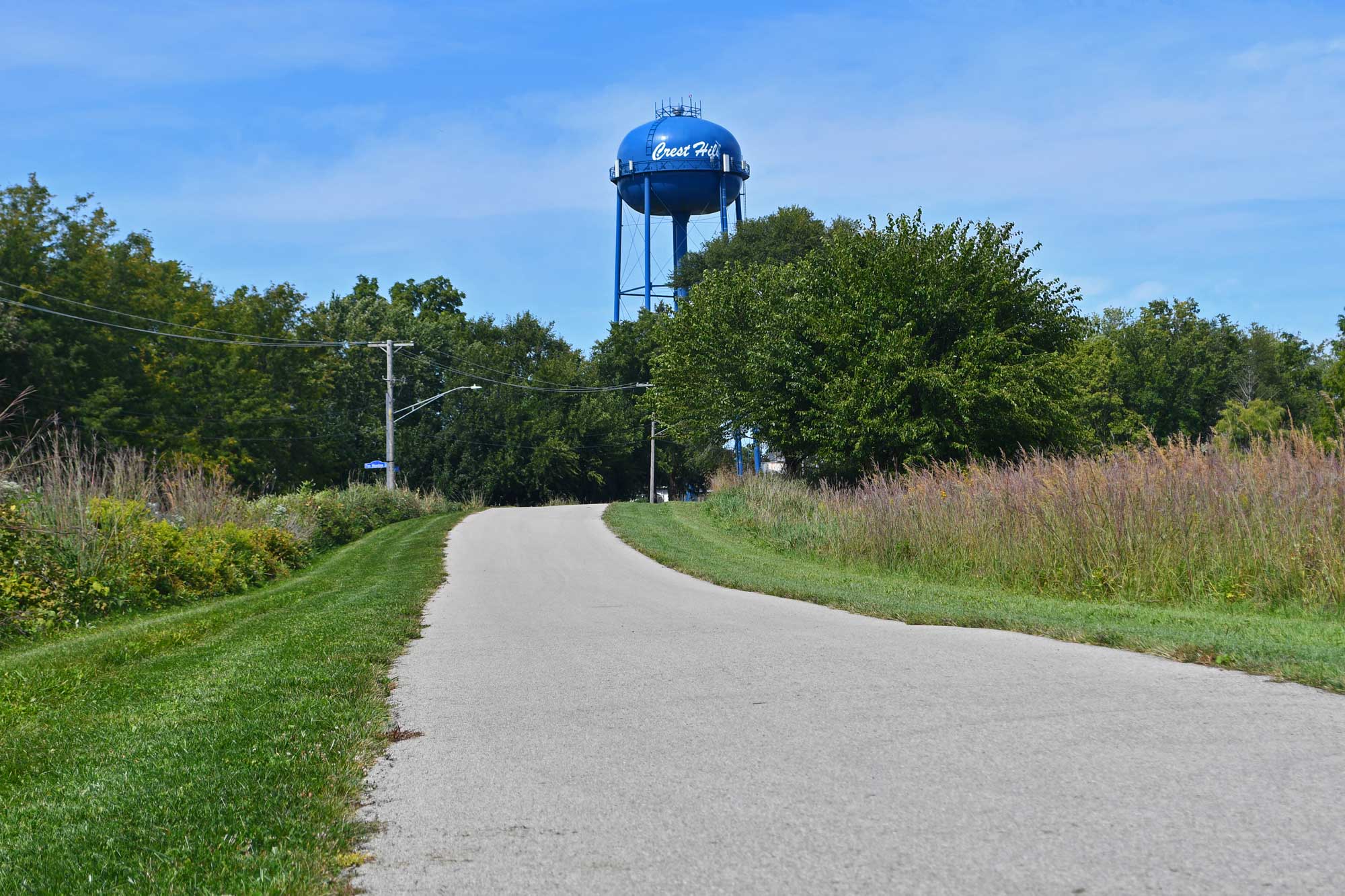 Paved trail lined with grasses and vegetation with trees in the background.