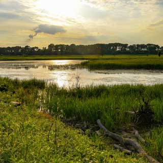 Slowing water's roll