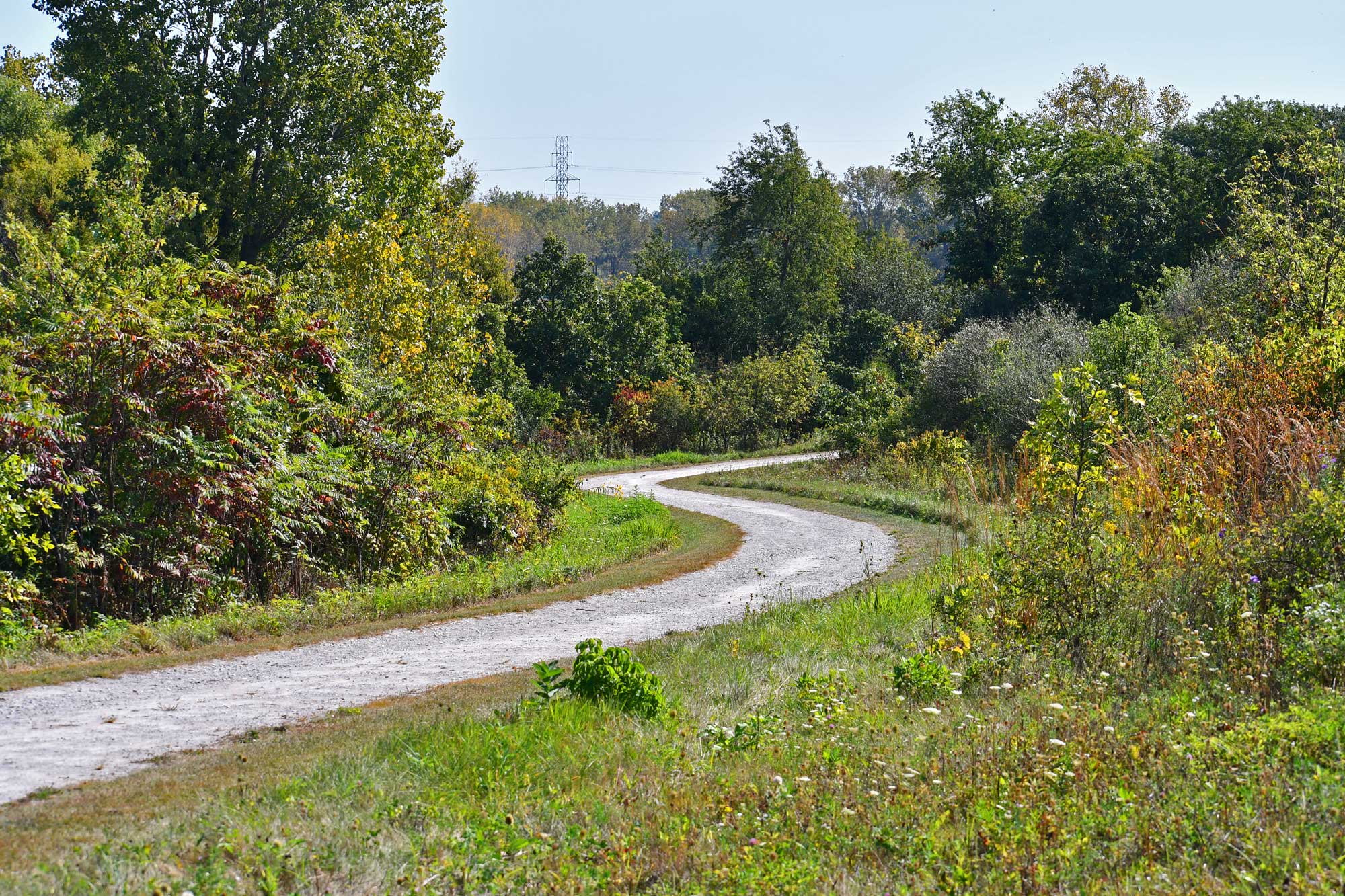 Limestone trail lined with grasses, vegetation, and trees.