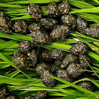 Scat-tergories: The scoop on poop