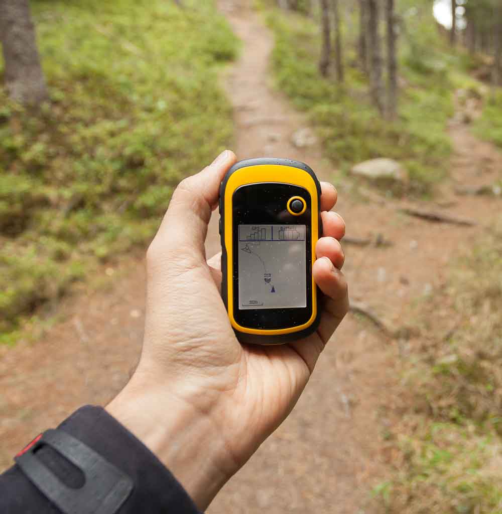 a hand holding a gps device in a forest