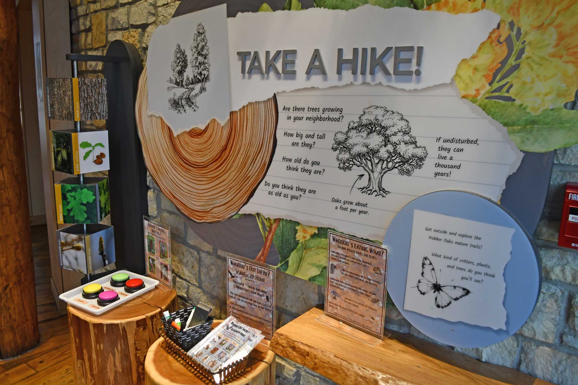 Interactive exhibit inside nature center.