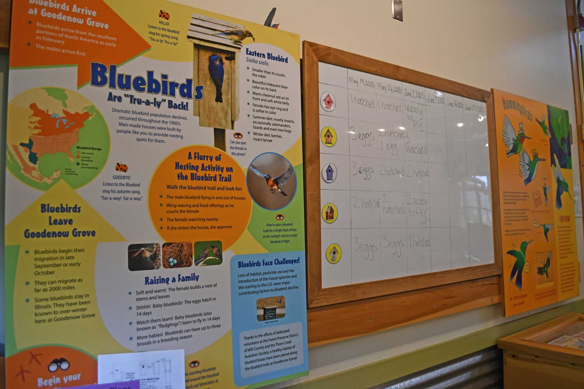 Exhibit panels at a nature center.