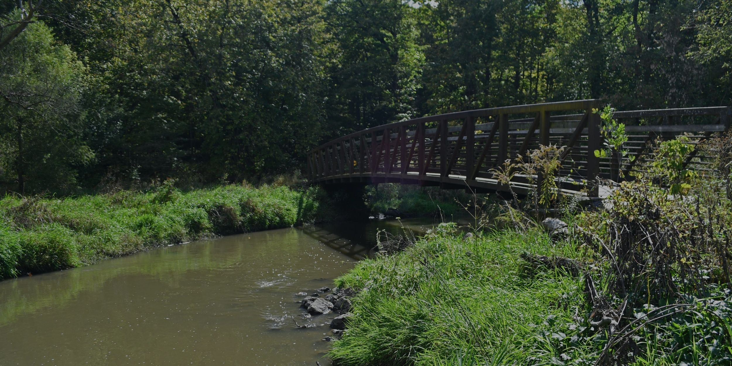 A bridge over a creek surrounded by green foliage.