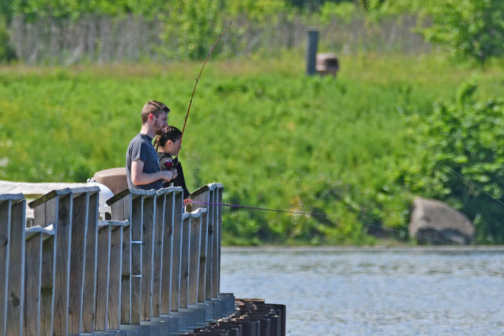 People fishing from a pier with vegetation and water in the background.