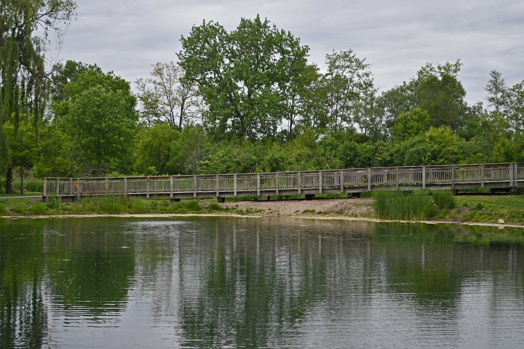 Walking bridge with water in the foreground and trees in the background.