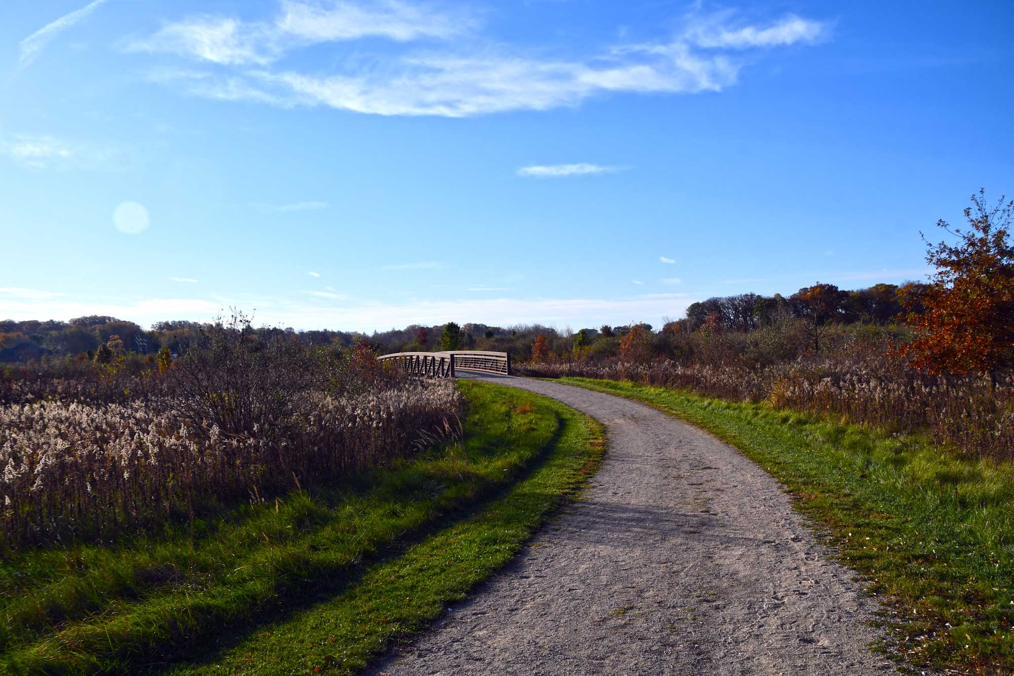 Limestone trail lined with grasses and vegetation with a walking bridge in the background.
