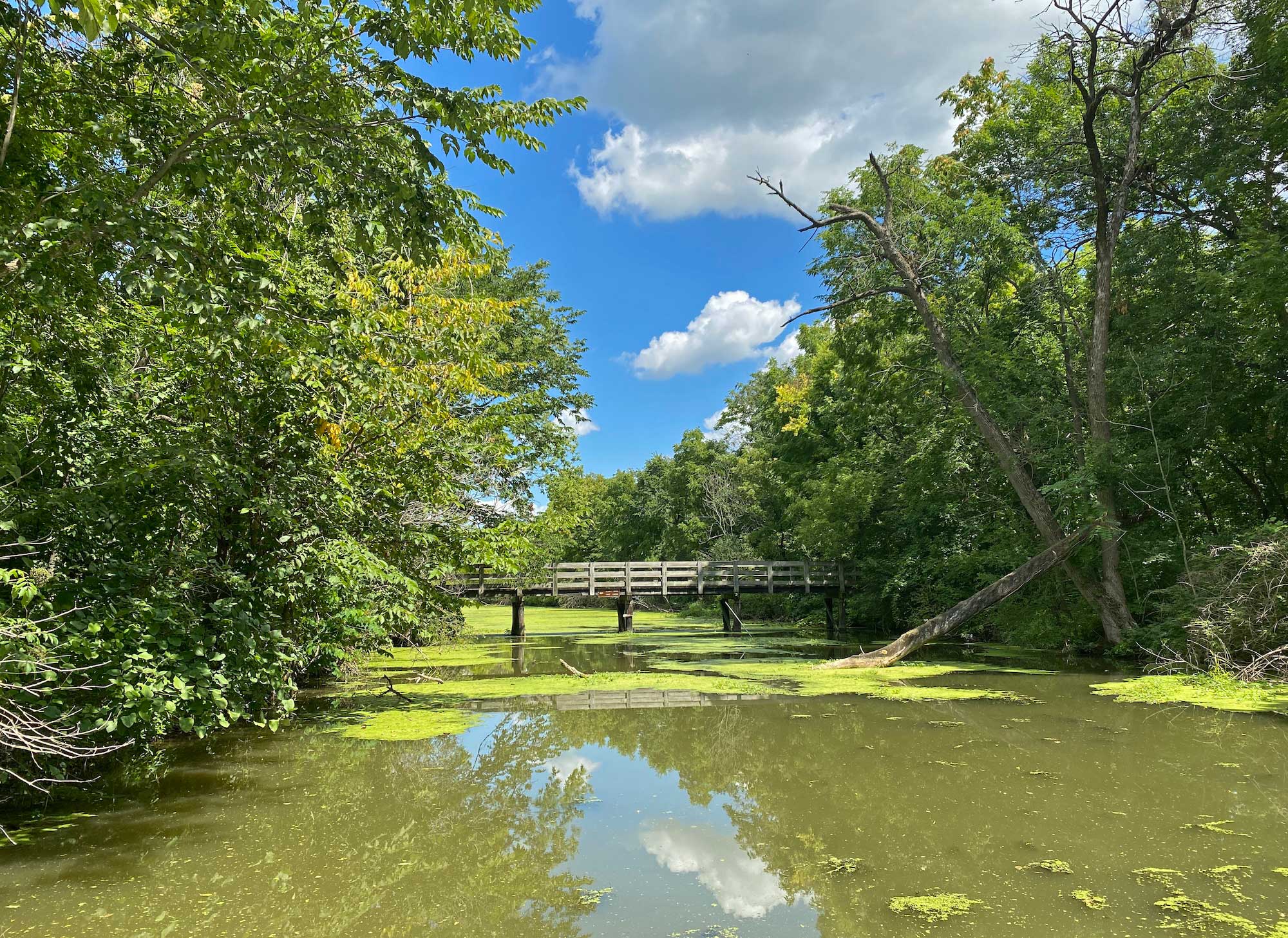 Wander at Will: A case of the summer doldrums