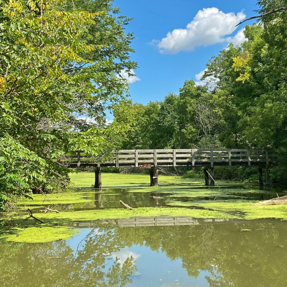 A wooden bridge crosses over a calm canal surrounded by lush green trees and vegetation on a sunny day.