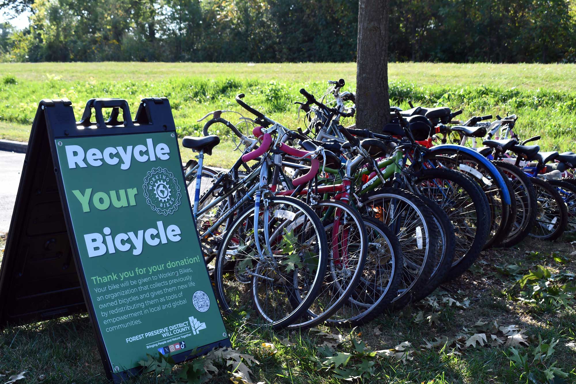 A Recycle Your Bicycle sign next to bikes lined up next to a tree.