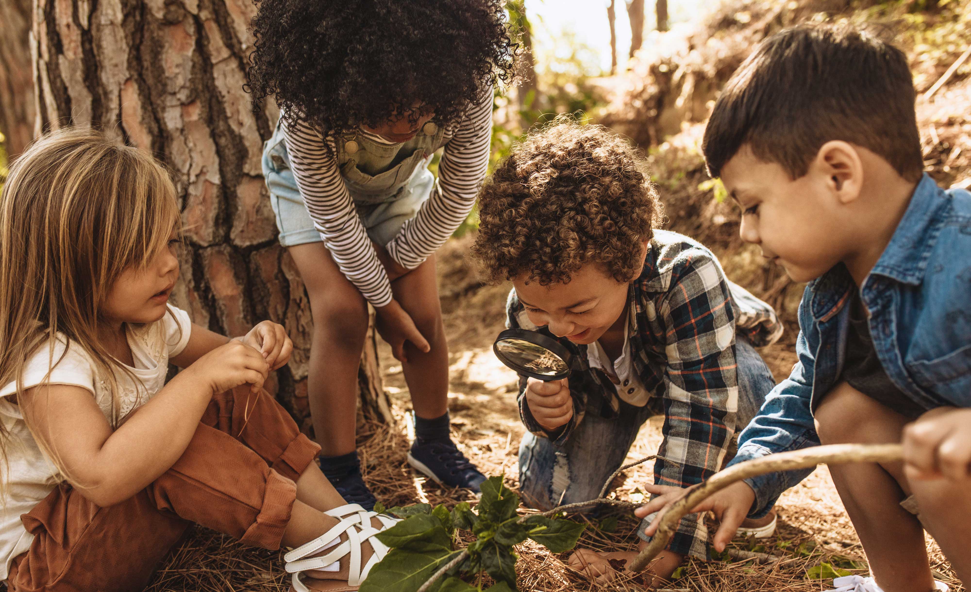 Four kids looking at a plant on the forest floor.