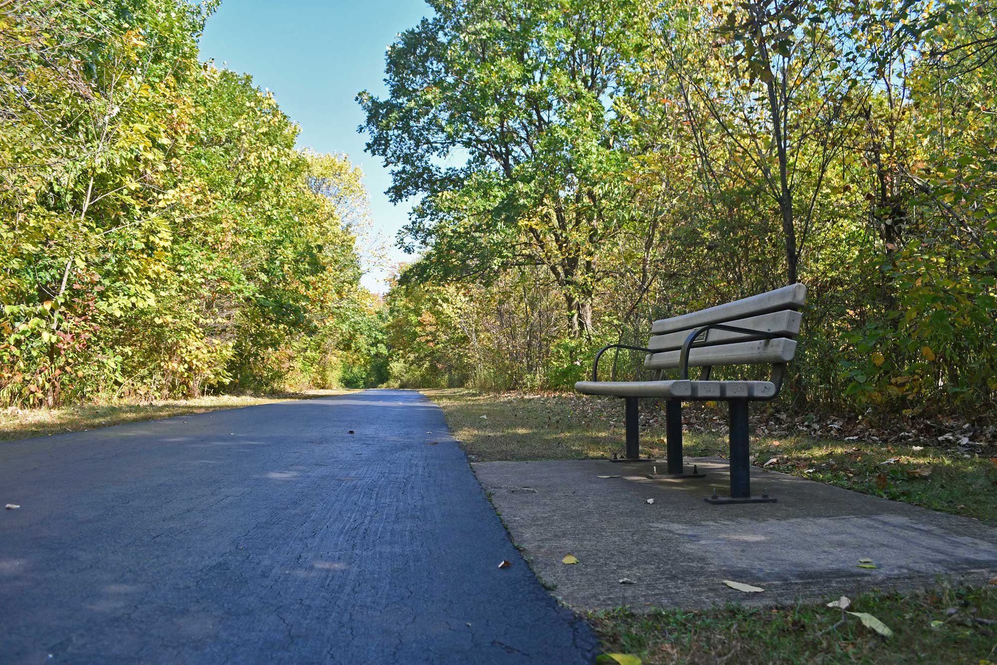 Paved trail lined by trees and grass.