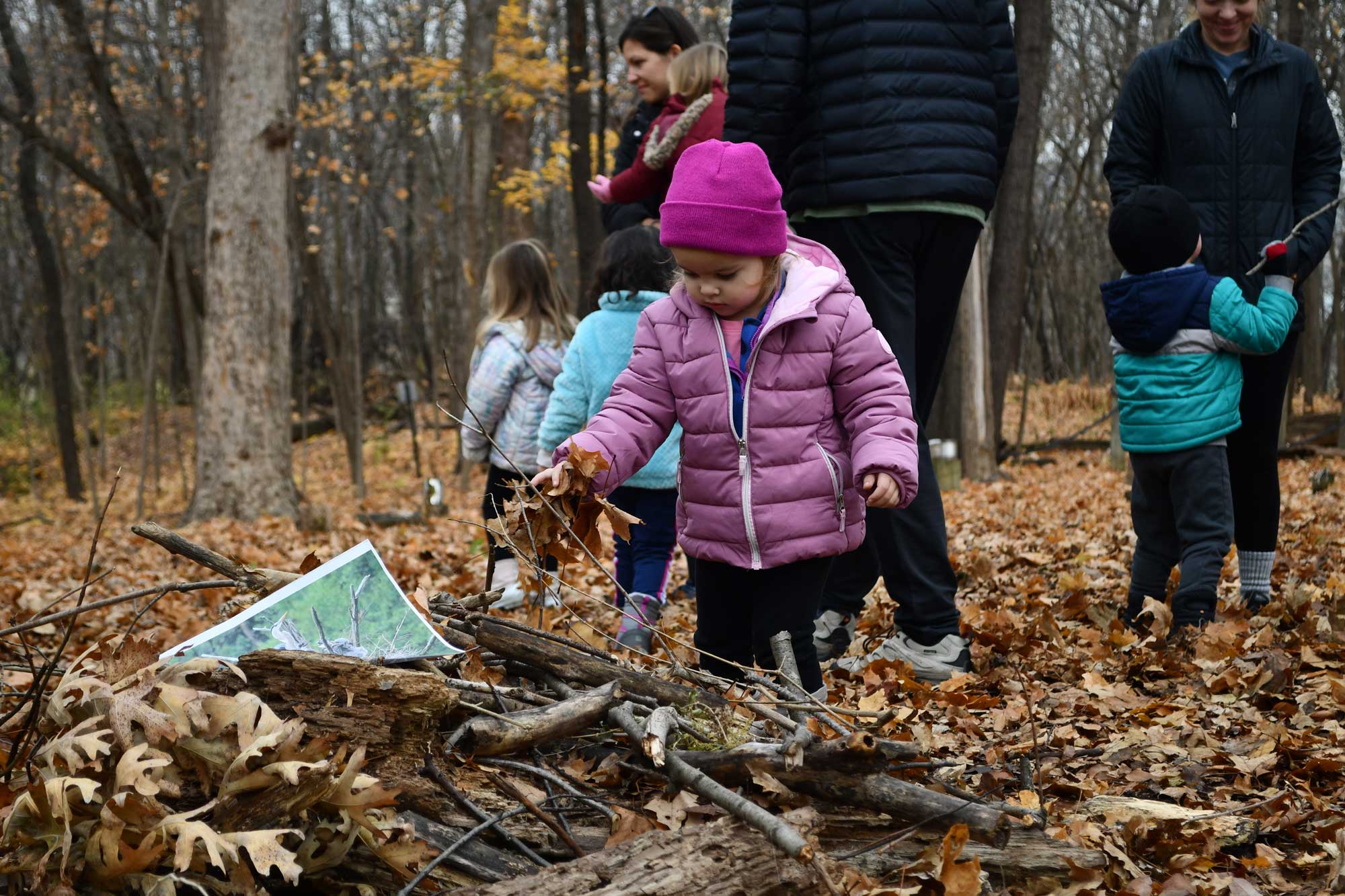 A young child playing outside in a forest filled with fallen leaves. More children are in the background.