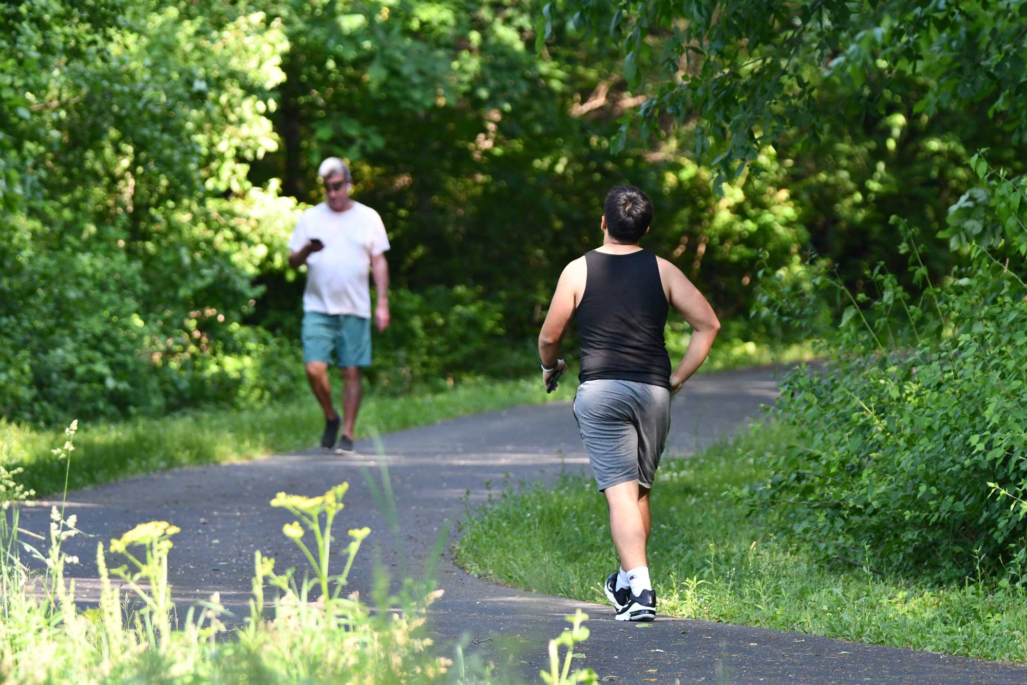 People jogging and running on a paved trail with trees in the background.