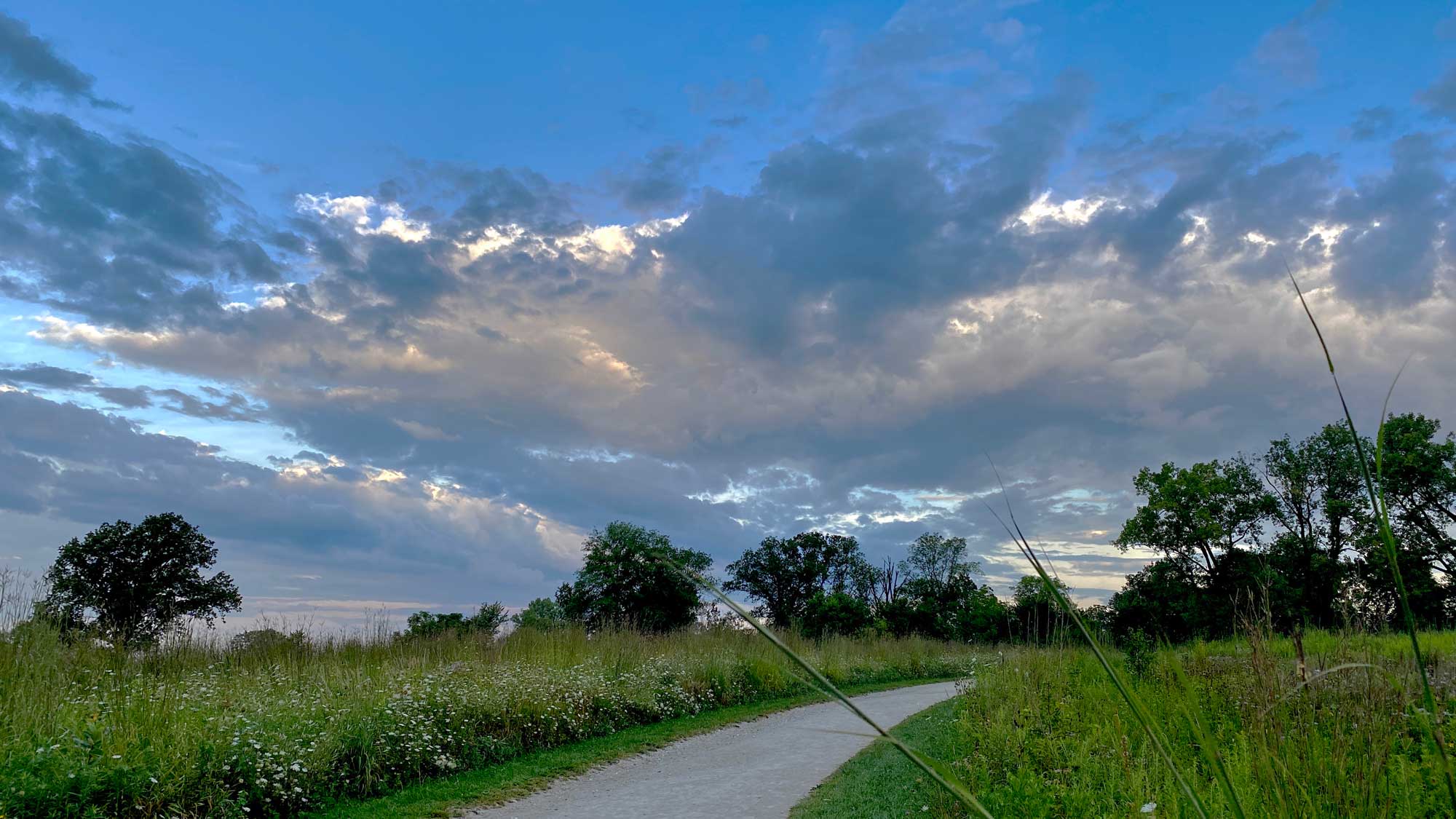 Limestone trail lined with grasses and vegetation with a partly cloudy sky overhead and trees in the background.