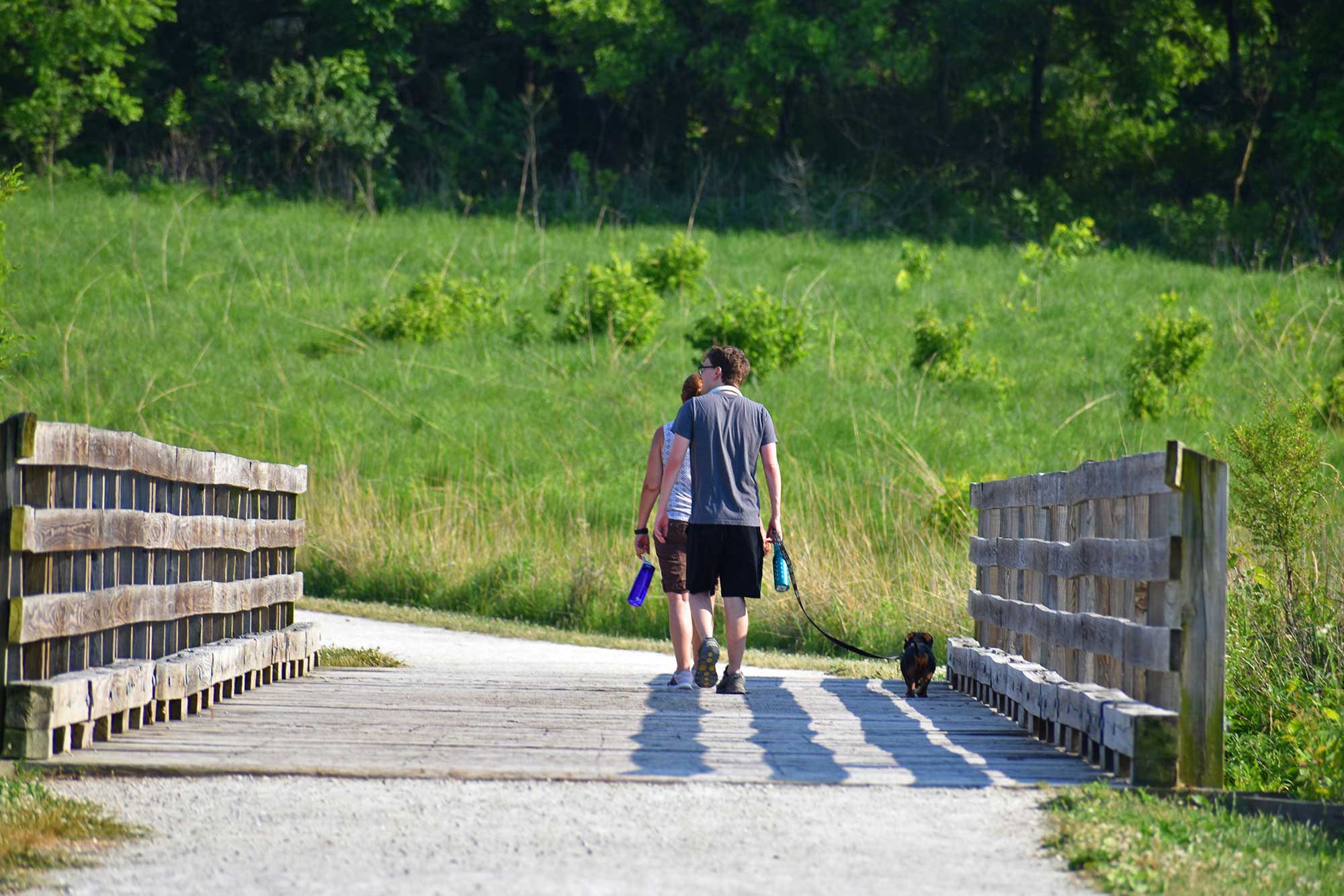 People walking on wooden bridge along limestone trail with vegetation in the background.