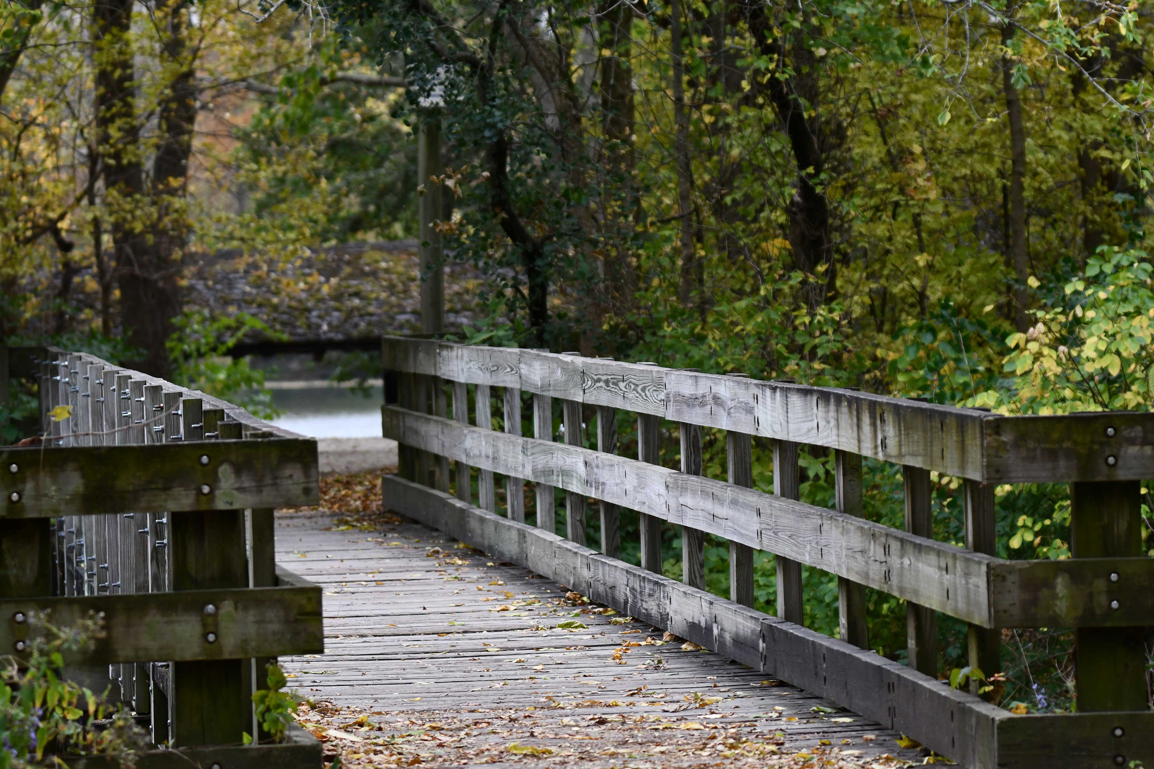 A wooden bridge at McKinley Woods.