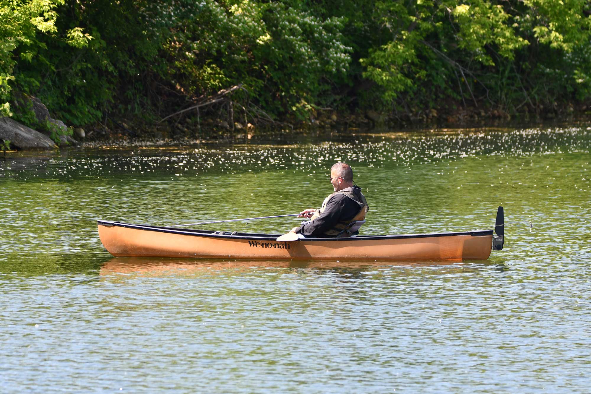 Person in a canoe with water and the tree line in the background.